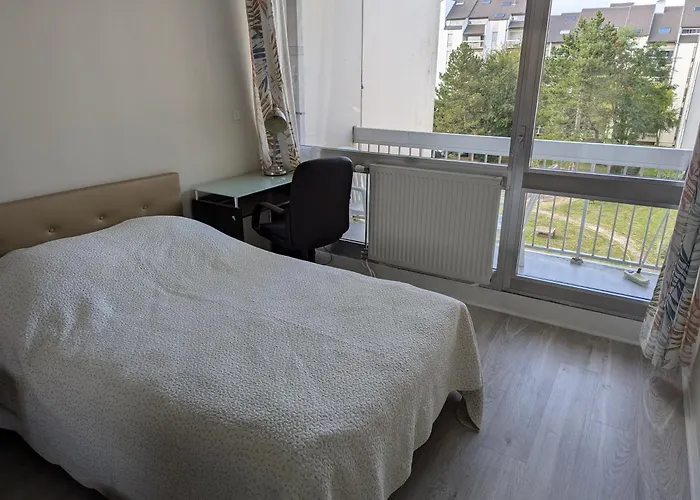 Apartment Ma Bourgogne Grand 3 Pieces Avec Balcons Plein Sud, Parking Interieur