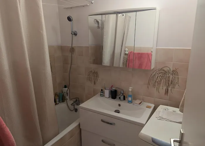 Ma Bourgogne Grand 3 Pieces Avec Balcons Plein Sud, Parking Interieur ディジョン